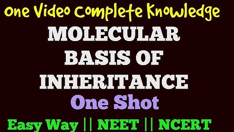 MOLECULAR BASIS OF INHERITANCE FULL CHAPTER || Genetics || Sunil Kumar || Easy Way