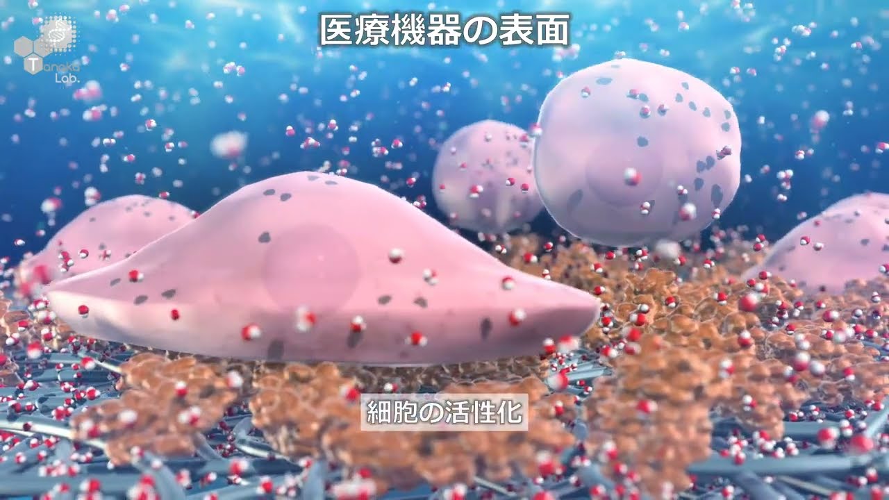 中間水コンセプトとは? “バイオマテリアルサイエンスを極める” - YouTube