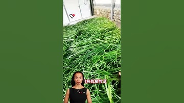 #fcnfm Energy-Saving Drying Machine for Reducing Costs and Increasing Efficiency