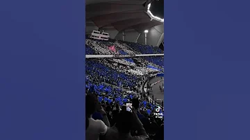 ياوطن طاهر ترابك 