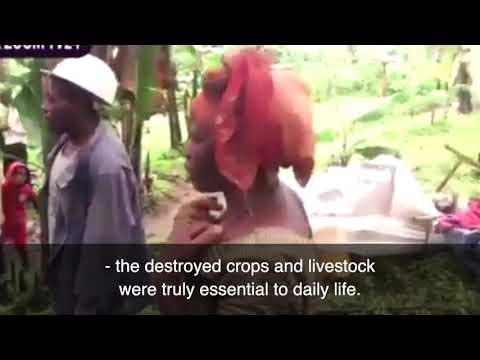 Rwandan landslide disaster recovery