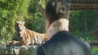 Mr  Zoo : The Missing VIP, Tiger Sing Kim Jong Kook Song Scene in The Zoo