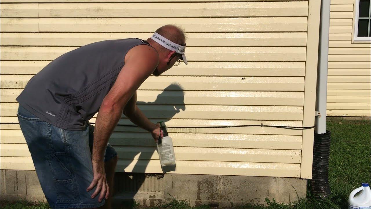 How to get mold stains off vinyl siding in 5 minutes YouTube