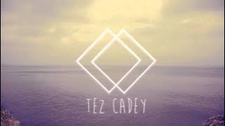 Tez Cadey - Coastal Cat