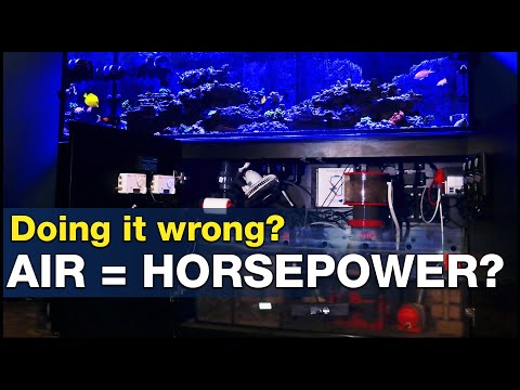 Are we tuning protein skimmers WRONG? Air draw horsepower tests on a live tank! | BRStv Investigates