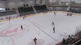 UJRC 2012 AAA v Flyers Elite  W 8 - 1