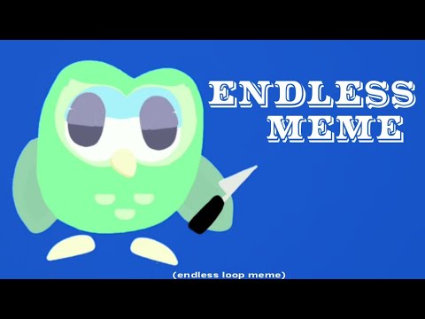 endless-meme-(duolingo-bird)-[loop]