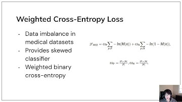 Diego Borne CS 487 Video Presentation