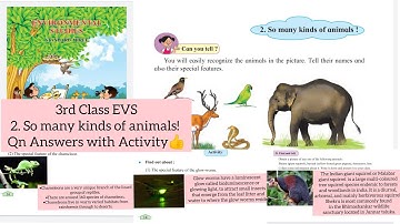 3rd class 2.So many kinds of animals Question and Answers