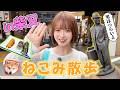 【男は・・・】ねこみ散歩in柴又