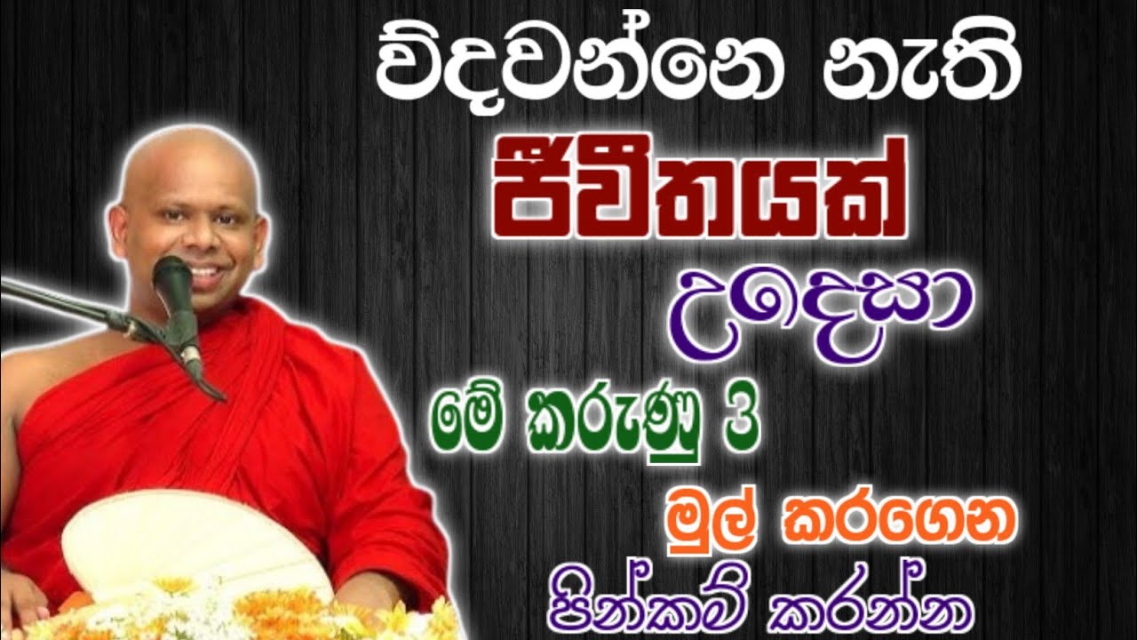 ව්දවන්නෙ නැති ජීවීතයක් උදෙසා මේ කරුණු 3 මුල් කරගෙම පින්කම් කරන්න 🙏 / walimada saddasilaa thero🪷 