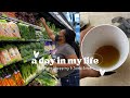 A Little Shopping Vlog and Making A Pineapple Tonic Juice