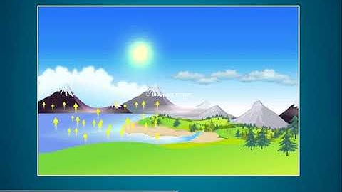 Water Cycle - Science Class 3