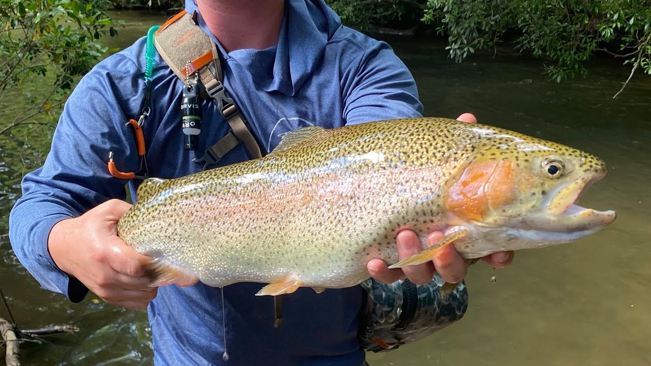 Fly Fishing Ellijay YouTube