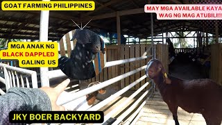 TOUR AT JKY BOER BACKYARD/MGA PALAHI NG BLACK DAPPLED NA GALING SA U.S