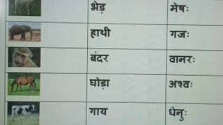 Animals Name In Sanskrit | पशुवर्गः | पशुओं के नाम संस्कृत में | Sanskrit  Janwar ke naam - YouTube