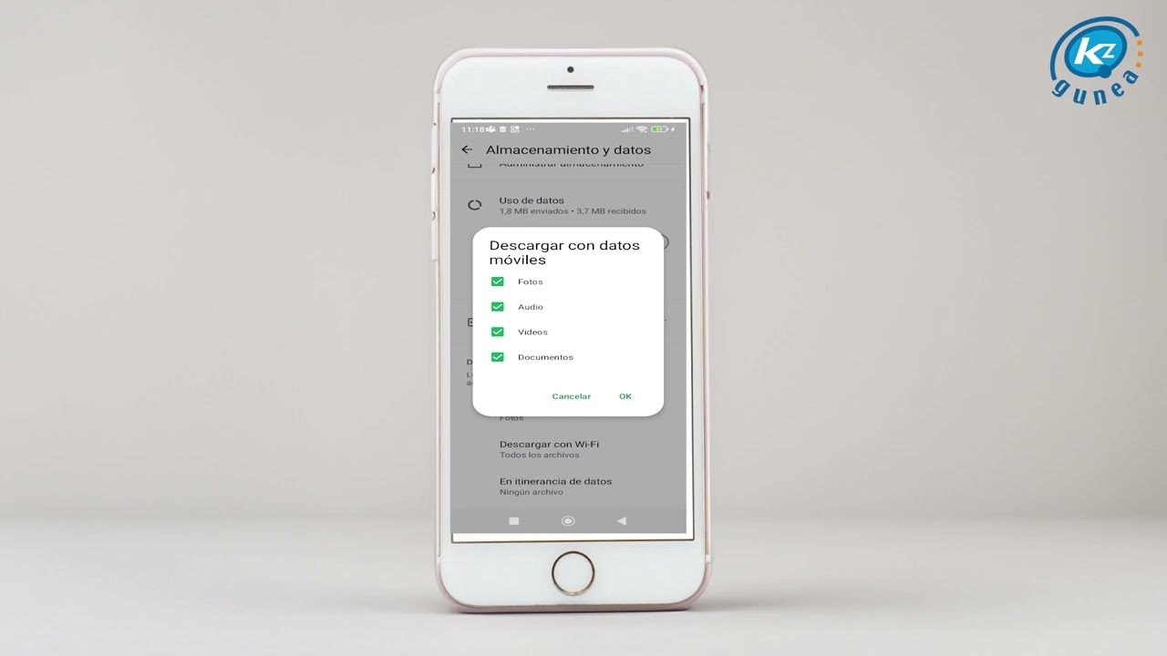NOLA DESAKTIBATU WHATSAPPEN ARGAZKIAK ETA BIDEOAK AUTOMATIKOKI GORDETZEA