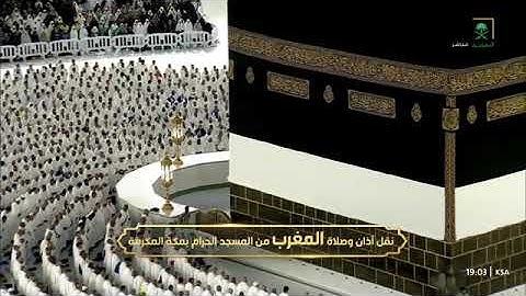 تلاوة رائعة من سورتي البينة 6-8 والزلزلة للشيخ د. #الوليد_الشمسان مغرب الجمعة 18 ذو القعدة 1446هـ