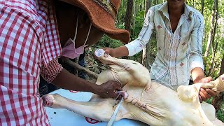 How To Cooking Cow BBQ 300KG Whole With BIG Party In My Village | Adventure In Forest