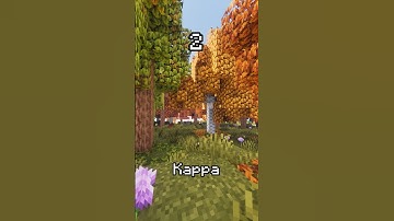 Which Shader Is The BEST? #minecraft