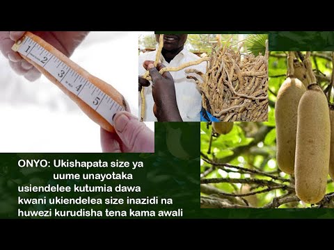 Video: Cha kufanya na Daylilies Wakati wa Baridi: Vidokezo vya Kuchimba na Kuhifadhi Mizizi ya Daylily