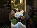 Christmas primary bedroom makeover