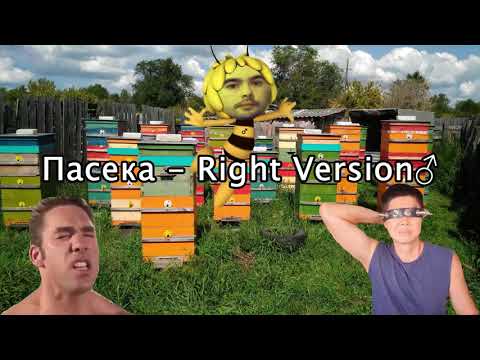 Превью для «Пасека - Right Version»
