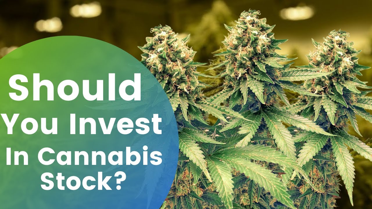 Is SNDL Stock The Best Stock In 2021 I Invest In Cannabis Stock