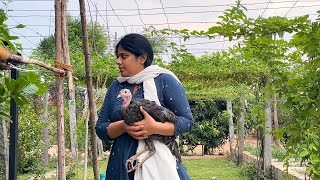 ఈ వారం కూరగాయ మొక్కలు నాటాము||Farm Living with Sarada&amp;Ganga||B Like Bindu