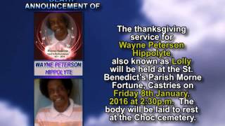 Wayne Peterson Hippolyte SHORT