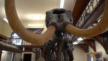 Hidden Gems at Rutgers: The Geology Museum