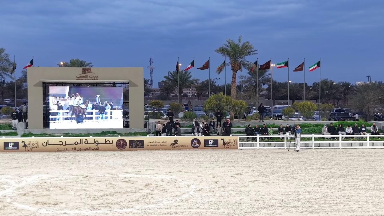 بطوله المرجان للخيول العربية