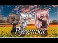 ГВ ИМ рулетка + я | мем