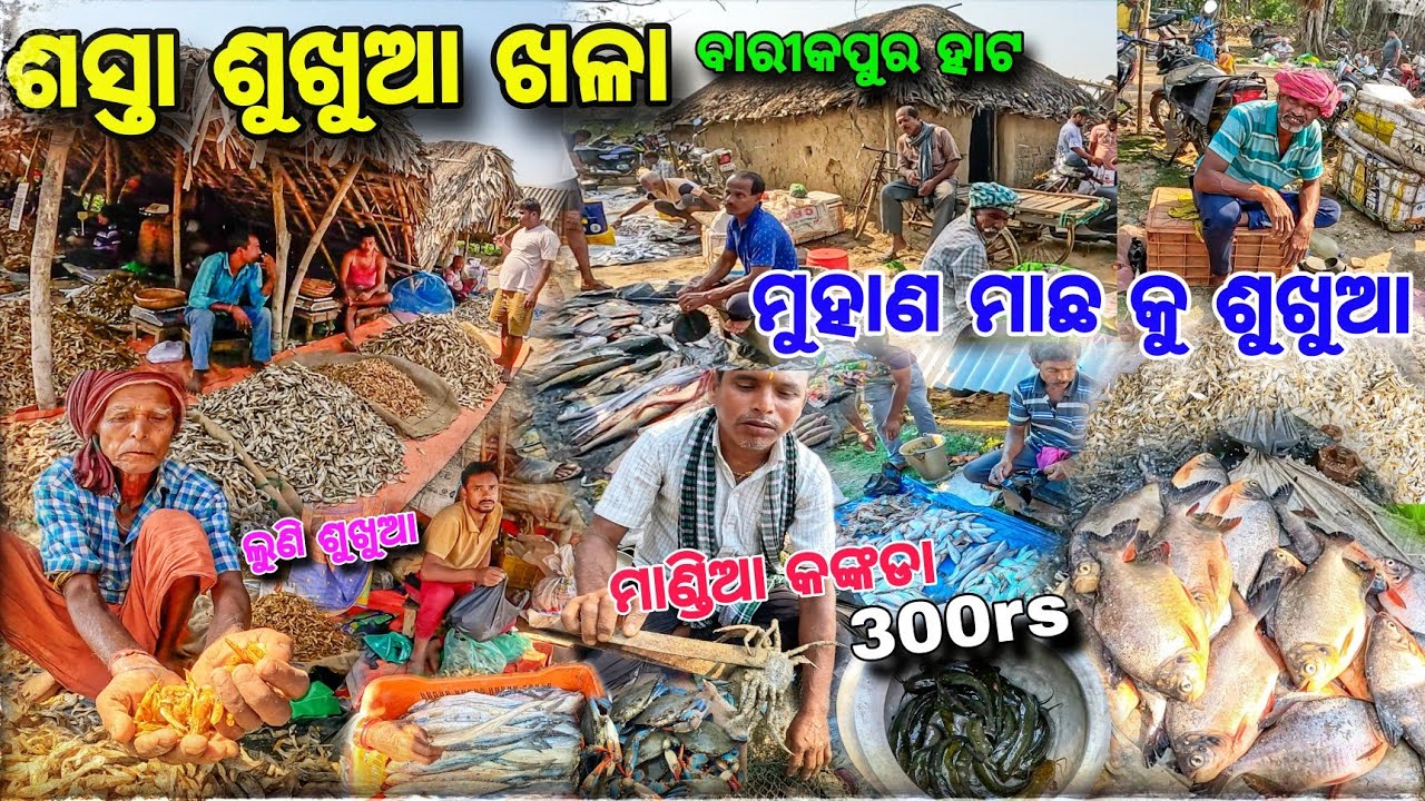 କ୍ୟୁଣ୍ଟାଲ କ୍ୟୁଣ୍ଟାଲ 🐟ଶୁଖୁଆ😱କଙ୍କଡା 🦀ଚିଙ୍ଗୁଡ଼ି🦐 ଯାହା ଖୋଜିବେ Barikpur Hata re / Sukhua Market Baleswar