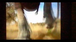 Disney Dinosaur: The Attack-music only