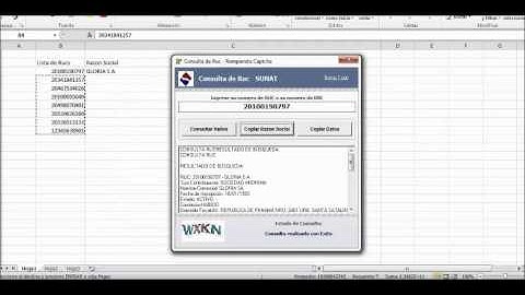 Consulta ruc pc 2015 - Sunat Excel
