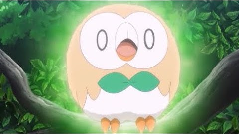 Rowlet