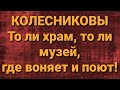 Семья Колесниковых/Новости из Дворца.