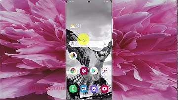 Samsung Galaxy S20 : How to set universal switch default scan method (Android 10)