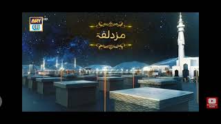 Shan r Haram 2026 trailer-ary qte❤️❤️💚💚