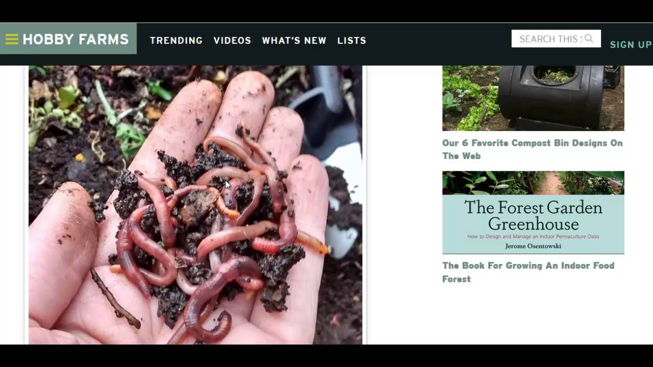 6 Different Types Of Compost Bins YouTube