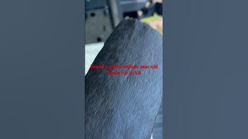 A closer look at the fossilized whale bone section we found in a VA creek