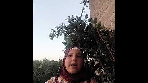 كم سوره بدءات ب. قل من سور القرآن الكريم؟؟