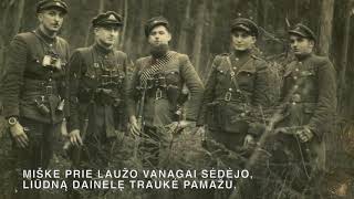 Miške prie laužo video | In The Forest By The Fire - song of the Lithuanian Forest Brothers