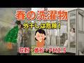 【花粉・黄砂】春の外干しは危険？「テラス囲い」で洗濯物を守る最強の対策と価格
