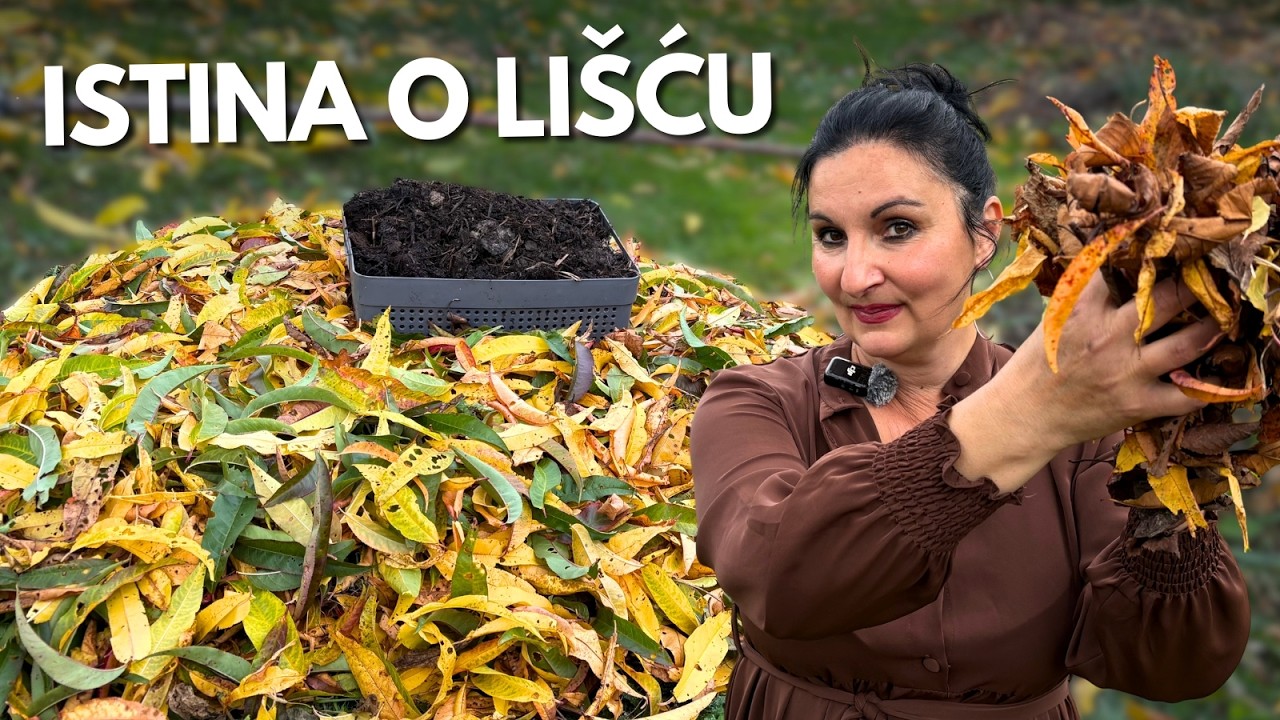 Использование ЛИСТЬЕВ в Саду Правильным Образом