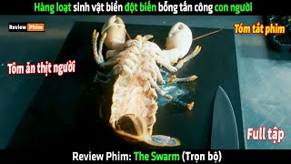 Hàng loạt sinh vật biển đột biến bỗng tấn công con người - tóm tắt phim The Swarm