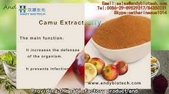 We are professional plant extract manufacturer - focus on human health