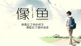 抖音热曲【像鱼】男生版柔情版 动态歌词Cover王贰浪