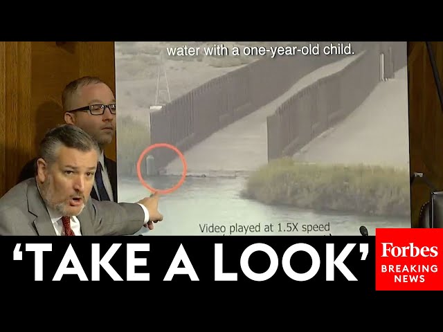 'Take A Look At This Image!': Ted Cruz Reveals Shocking Video Still During Hearing class=